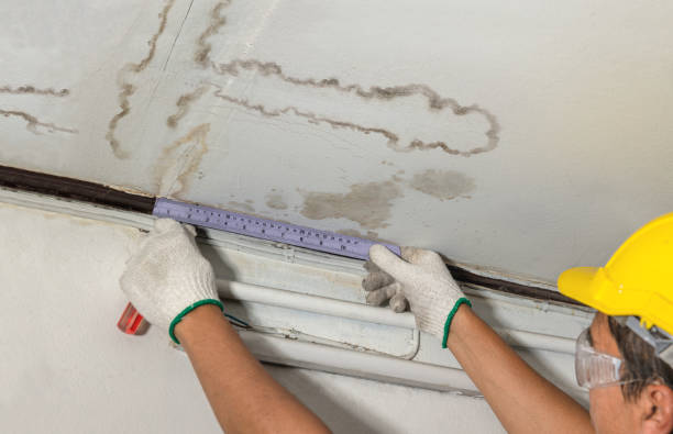 Reliable Water Damage contractor in Newark, NJ by Water Damage Irwin